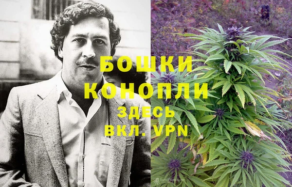 бошки Дмитров