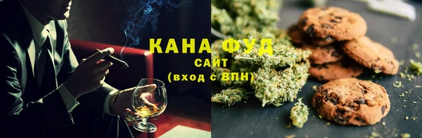 прущий лед Дмитриев