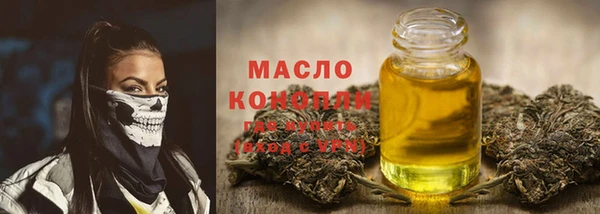 прущий лед Дмитриев