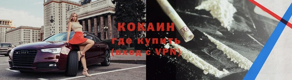 бошки Дмитров