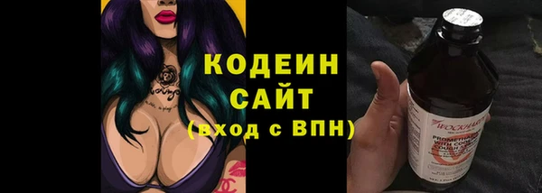 прущий лед Дмитриев