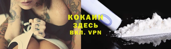 прущий лед Дмитриев