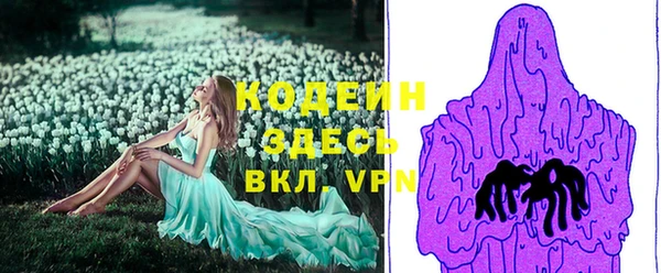 бошки Дмитров