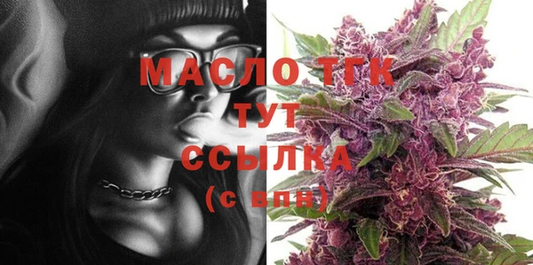 прущий лед Дмитриев