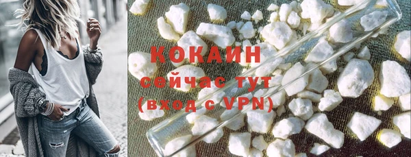 прущий лед Дмитриев