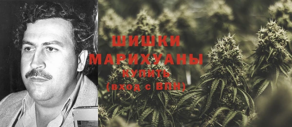прущий лед Дмитриев