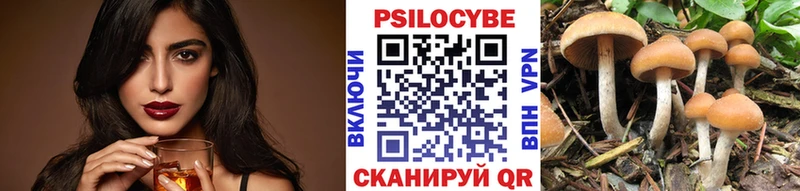 Псилоцибиновые грибы мицелий  Купить закладки  Ленинградская 
